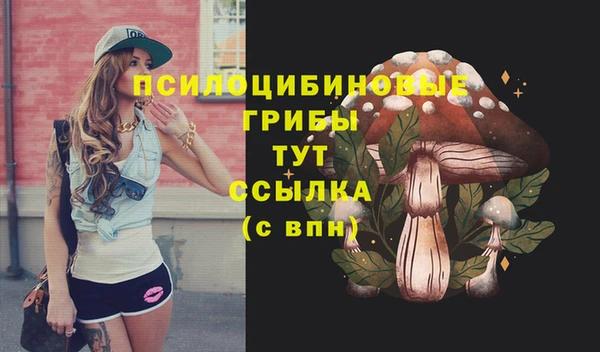 марихуана Абаза